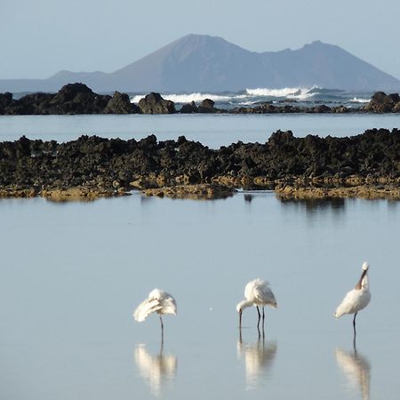 Casa Ana Y El Mar - Para Enamorados Del Mar - Lanzarote Teguise  Extérieur photo